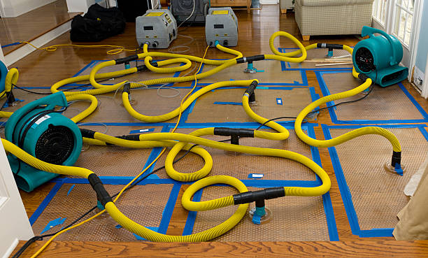 Professional Storm Water Damage Restoration technician working in Walnut, IA